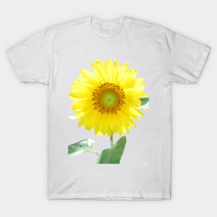 Sunflower T-Shirt